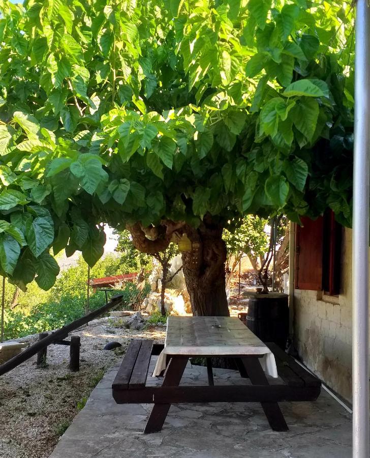 Xanthippi * Paphos