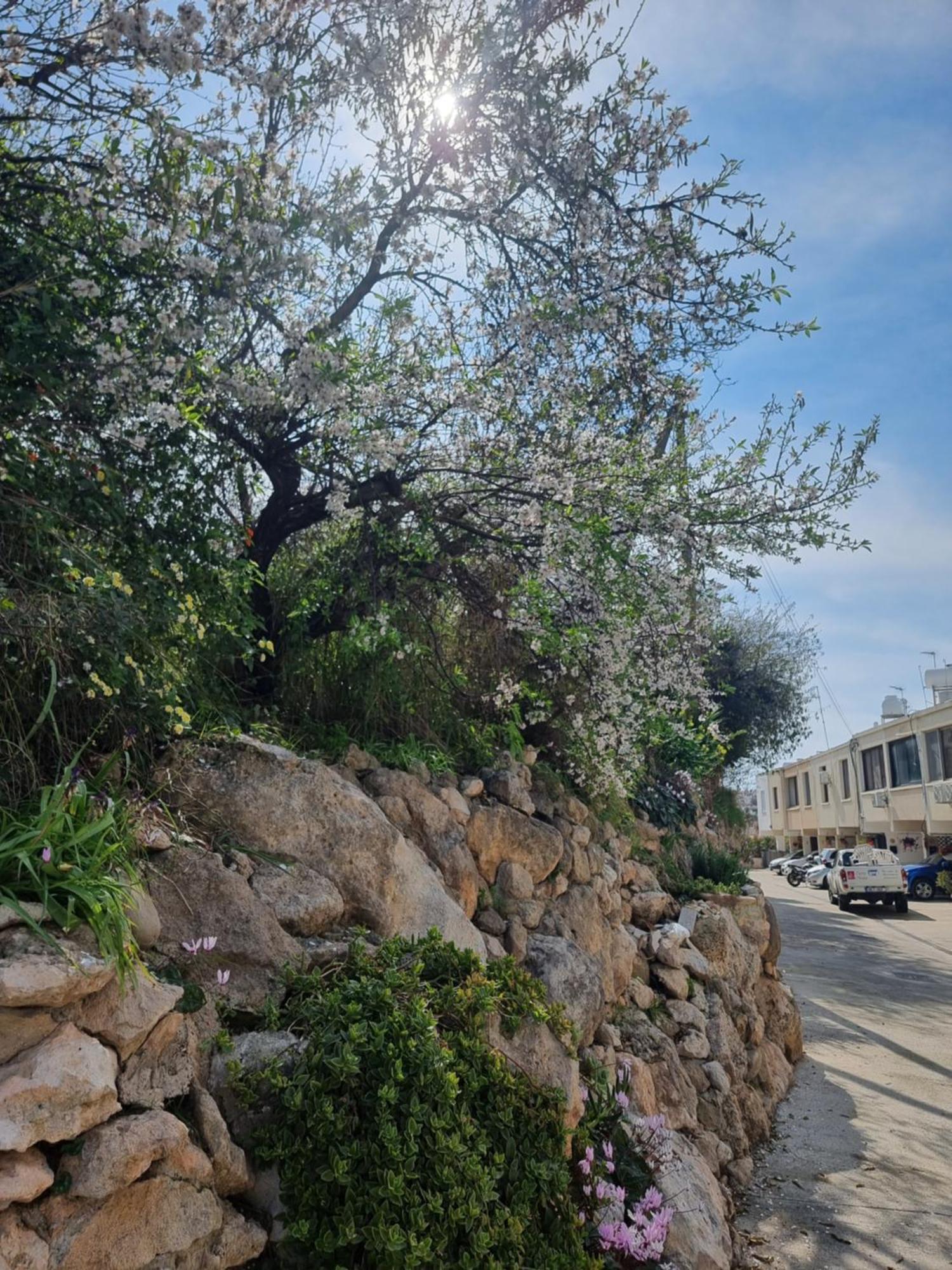 Holiday home Mediterranean Valley *