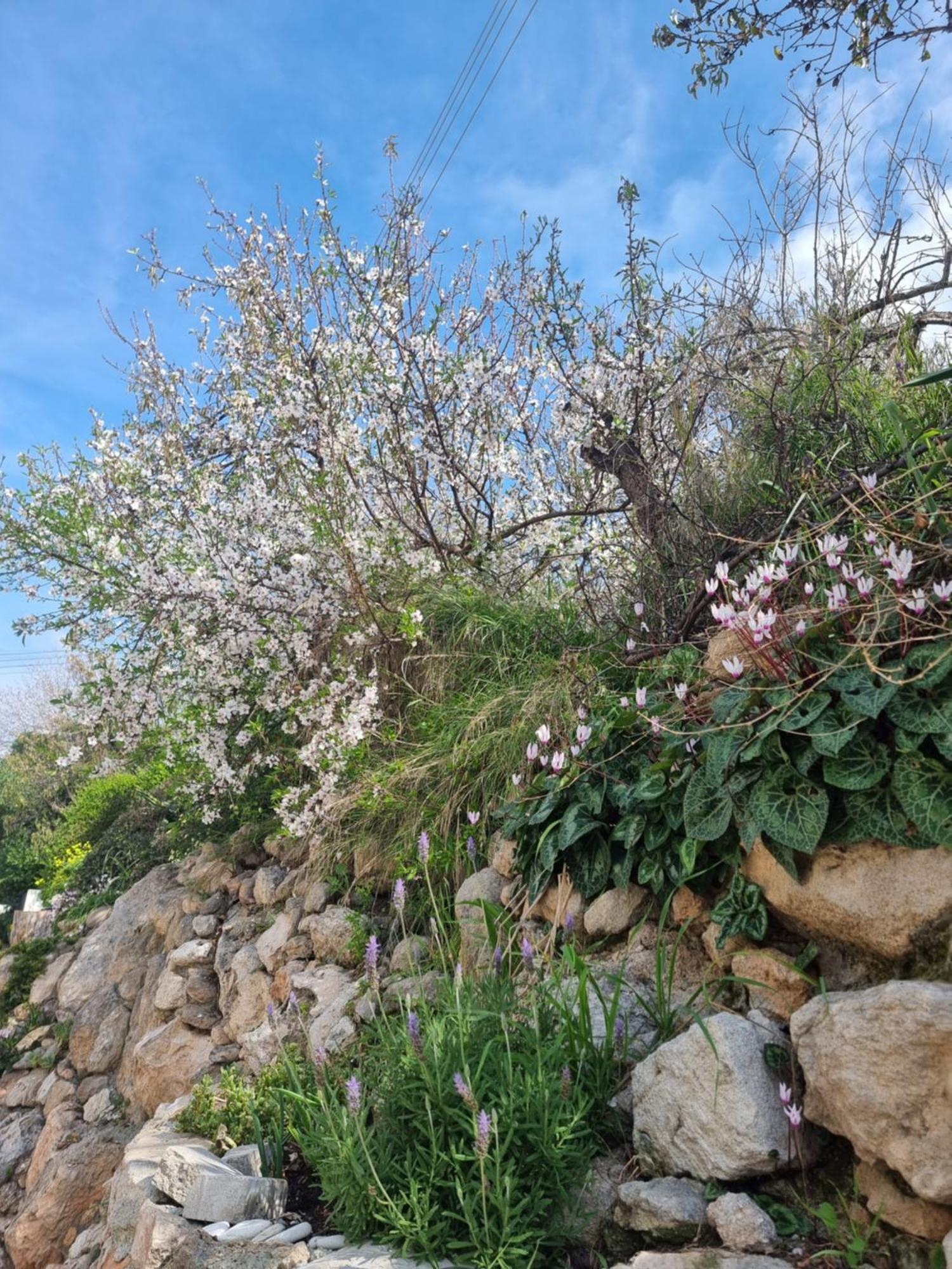 Mediterranean Valley *