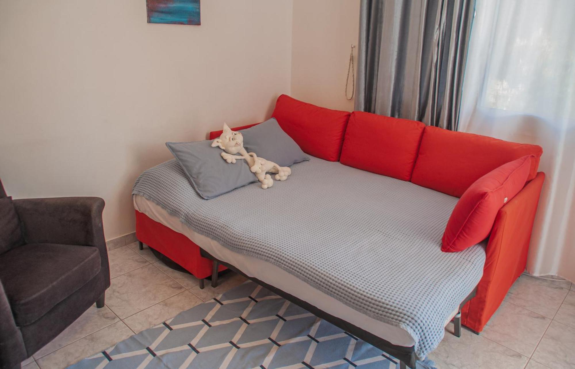 Apartment Cozy 1 Bedroom In Walking Distance To The Municipal *