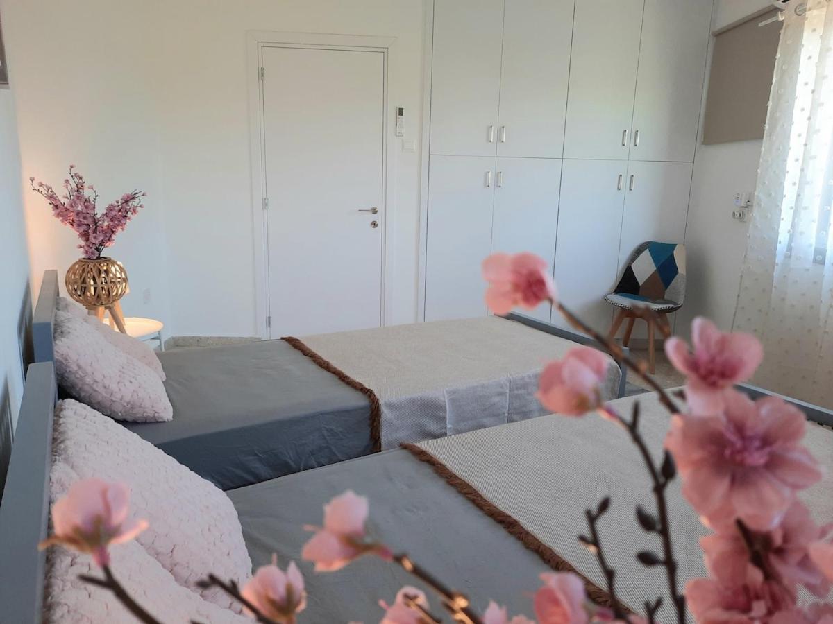 Kato Apartamento *