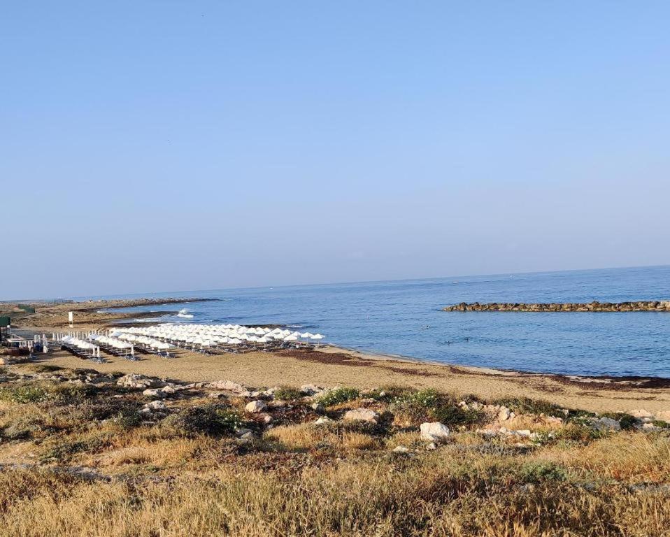 Urban Oasis Next To The Holiday home Paphos