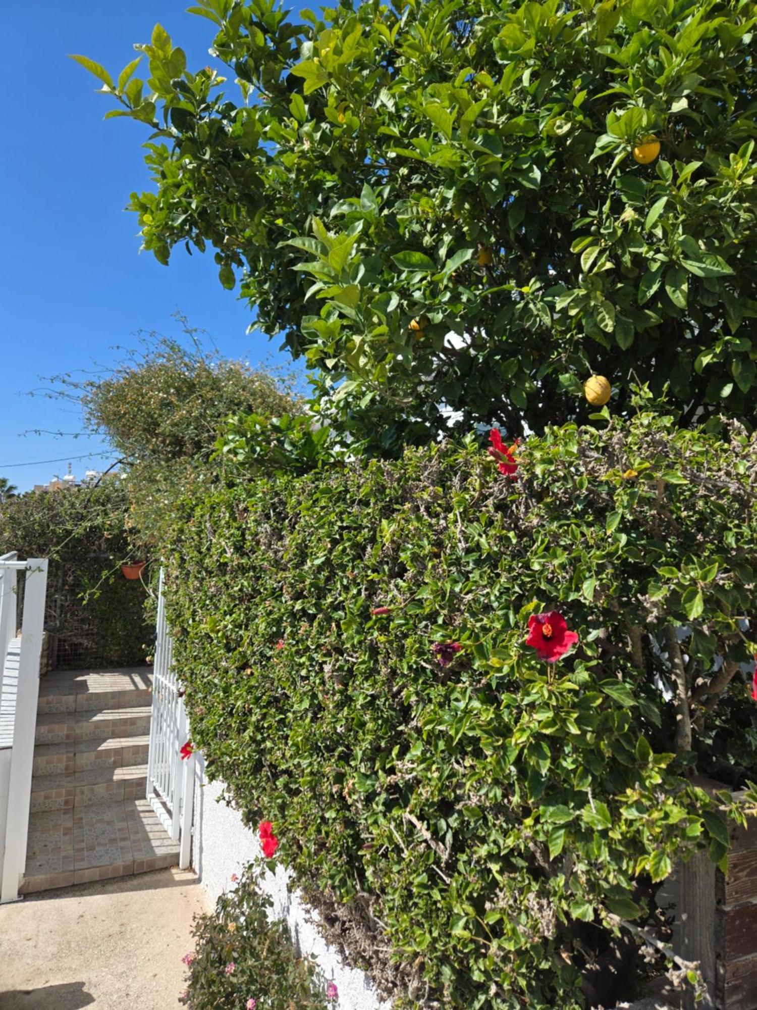 Urban Oasis Next To The Holiday home