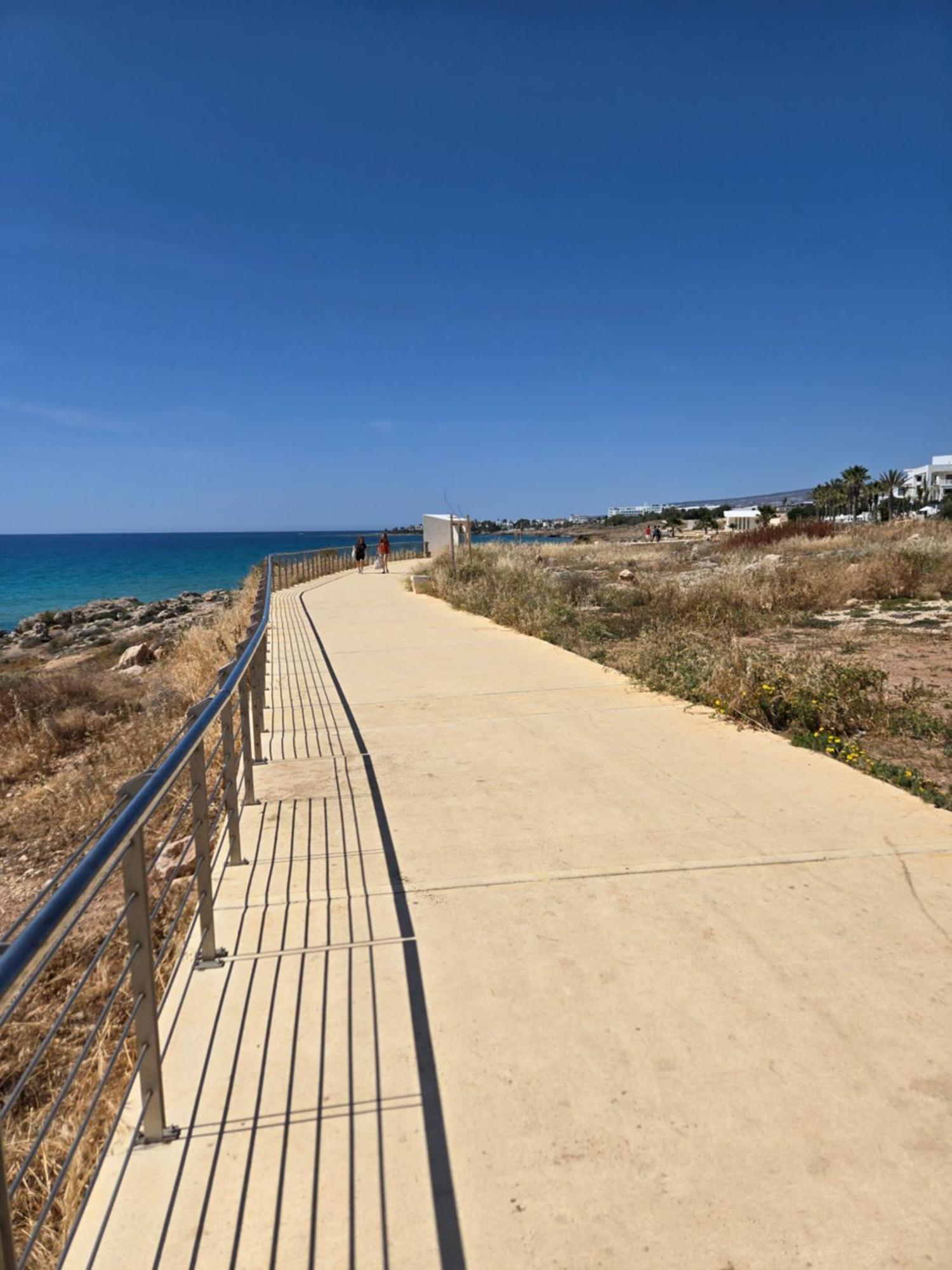 Urban Oasis Next To The Paphos