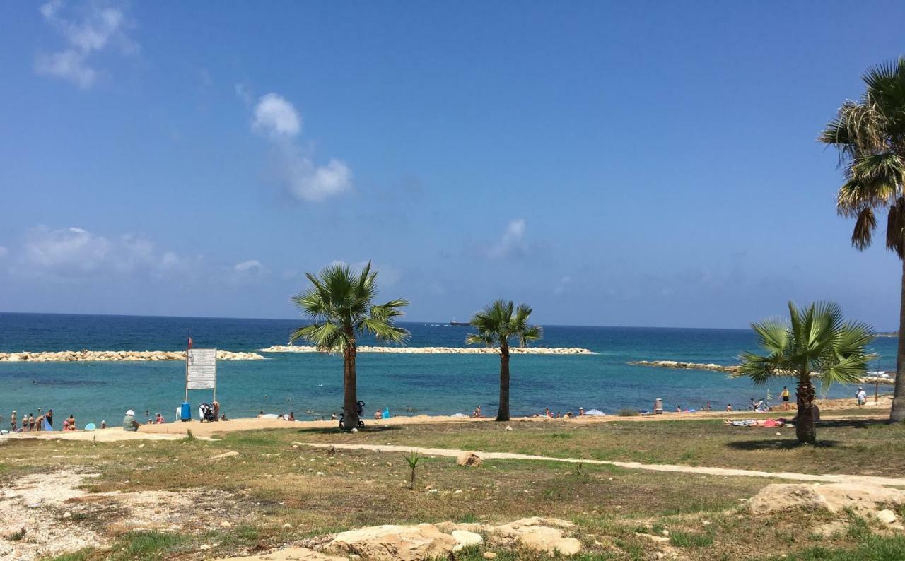 Diamond Complex * Paphos