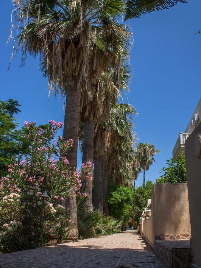 King's Park Paphos