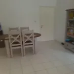 Lovely Garden Apartment
