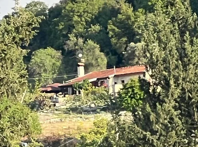 Despina Country Retreat