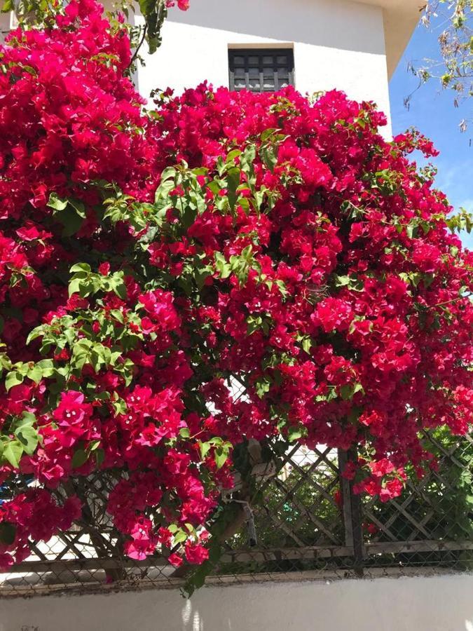 Apartamento Amorgos Gardens *