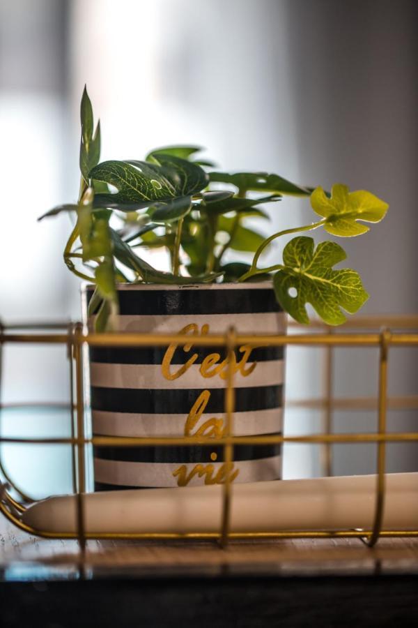 Cosea Living: Seaside Elegant In Harbour 112 Apartment