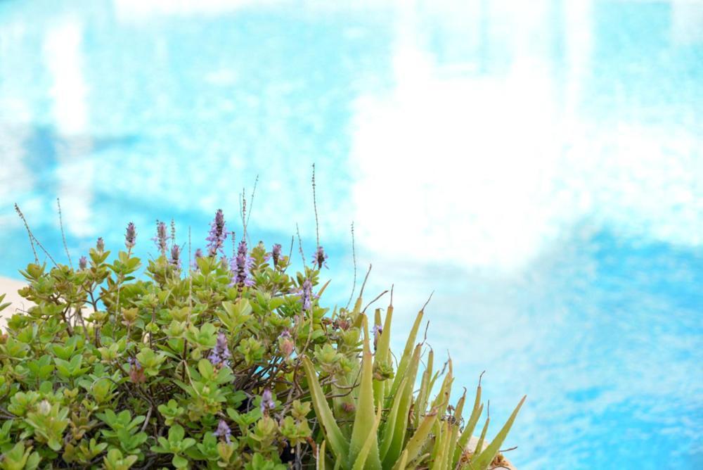 Apartamento Royal Seacrest а203 Sea View Paphos