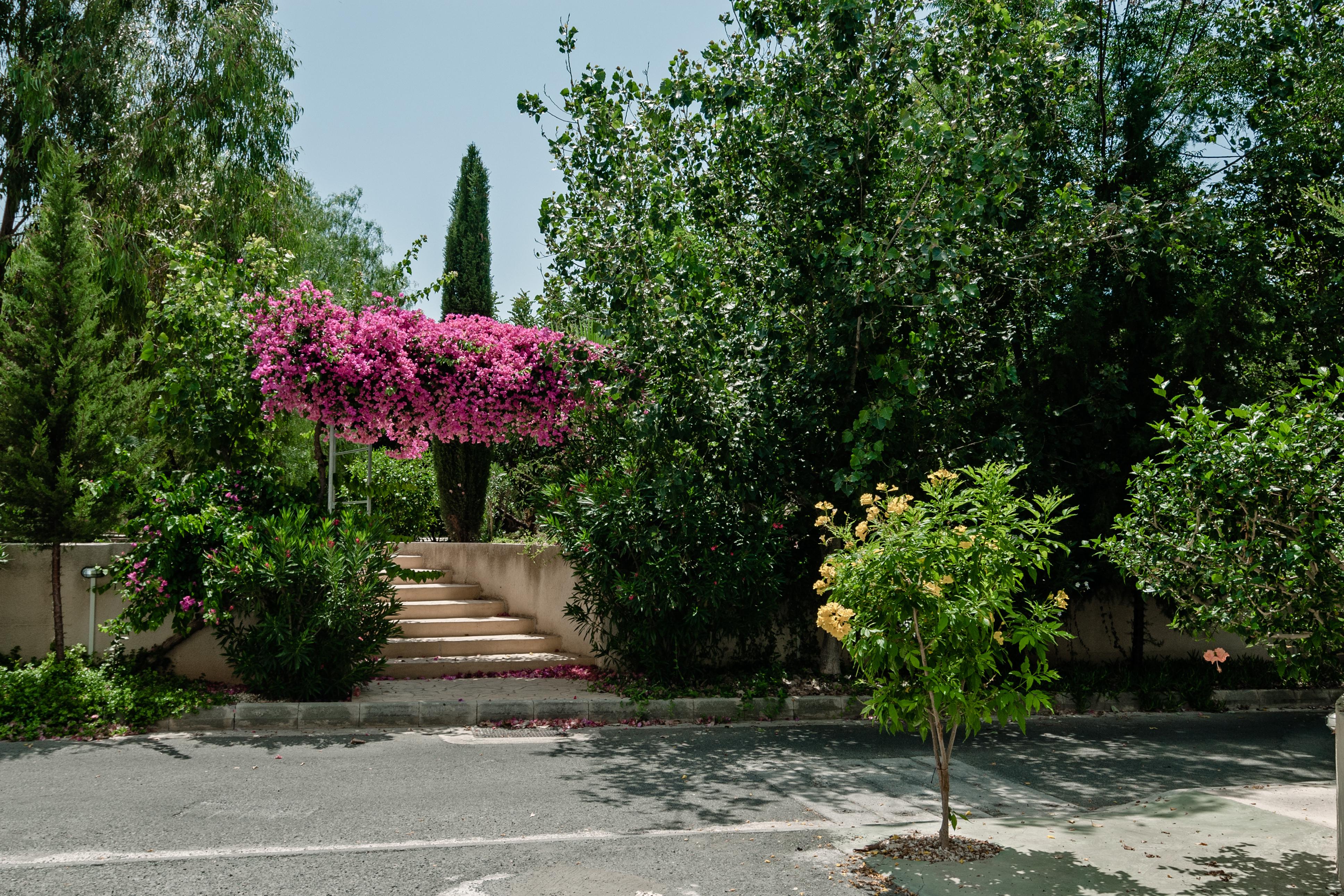 Apartment Artemis Cynthia Complex