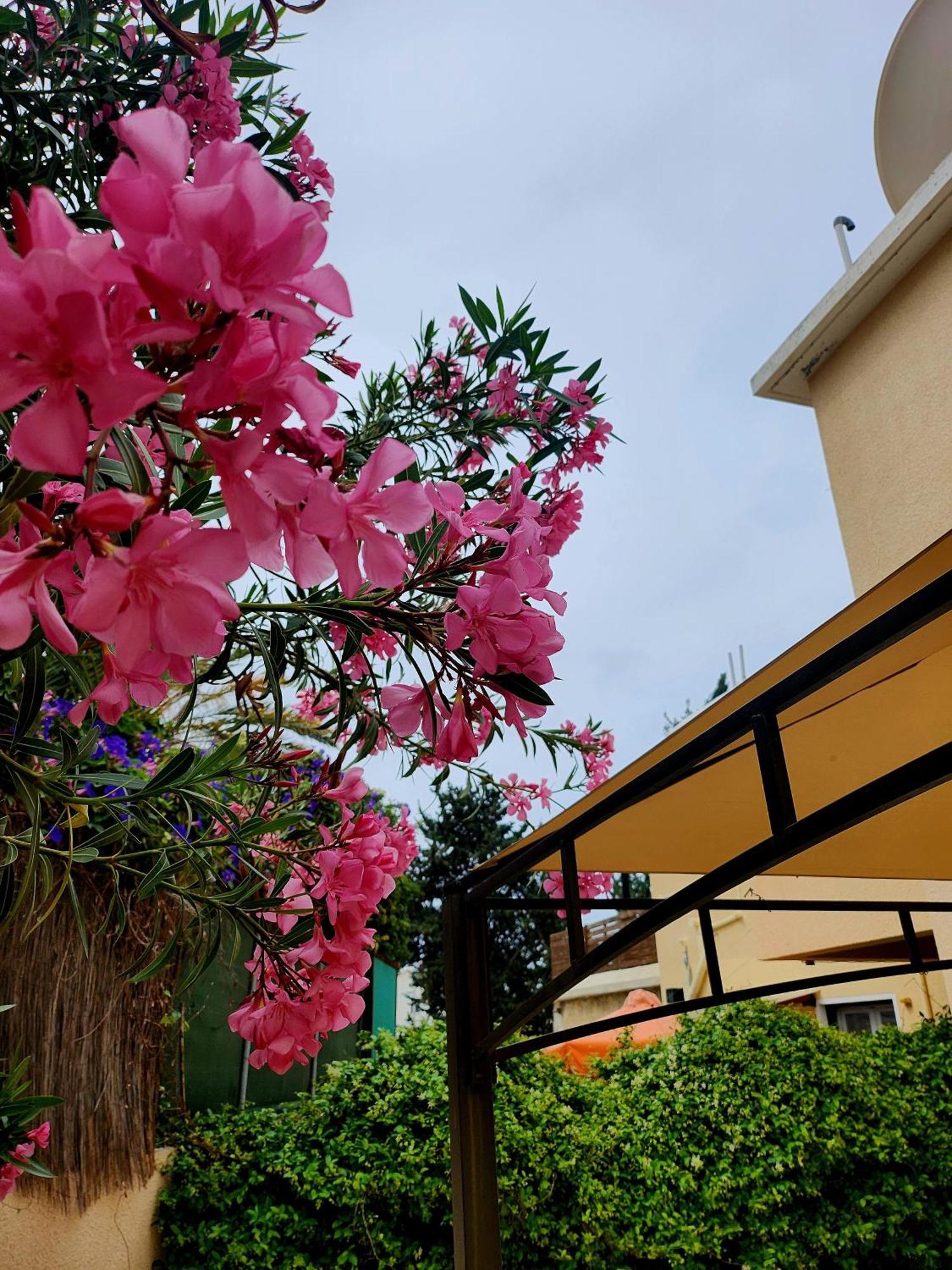 Seaside Private Garden Terrace Bbq And Pool *
