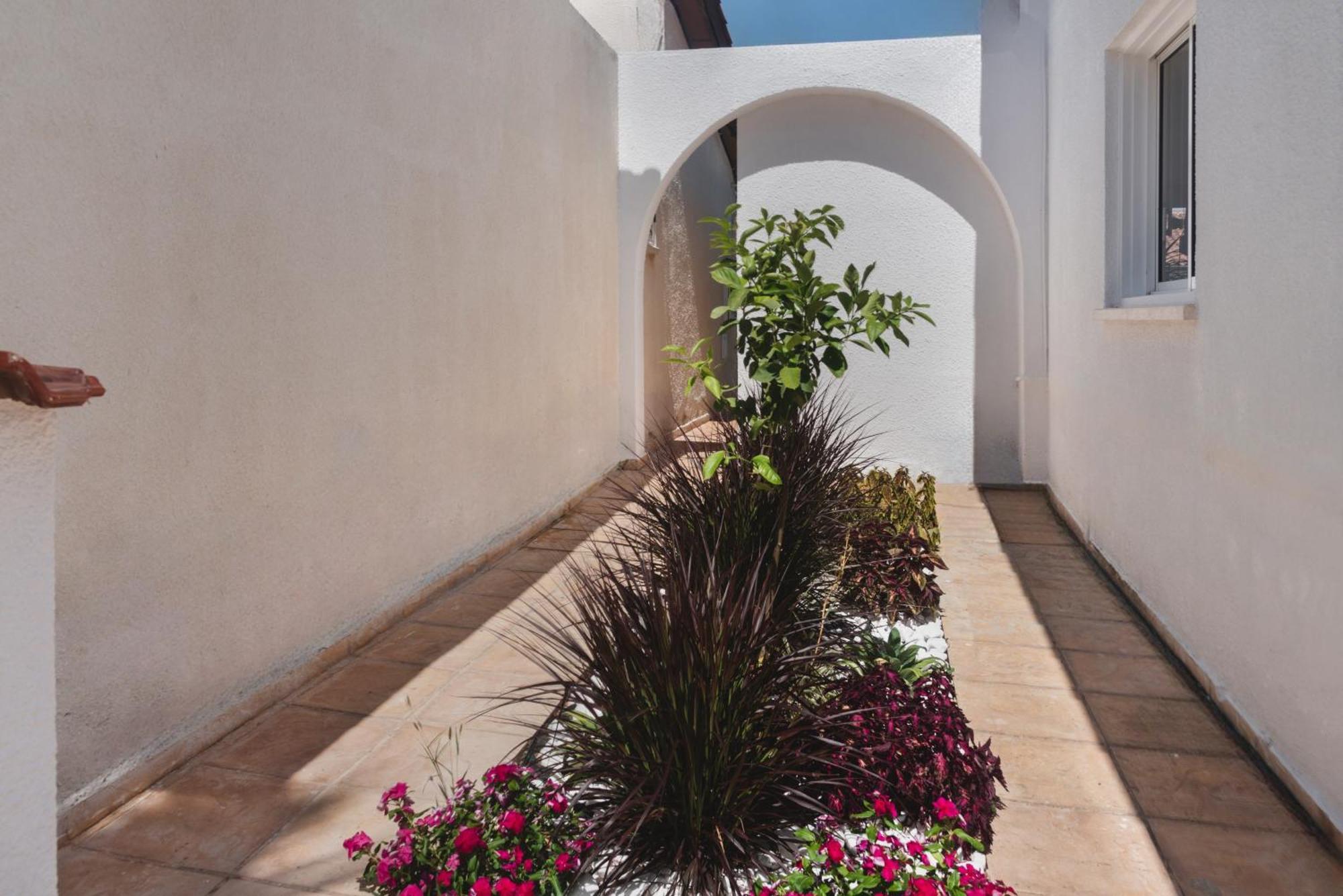 Holiday home Phaedrus Living Luxury Botanic *