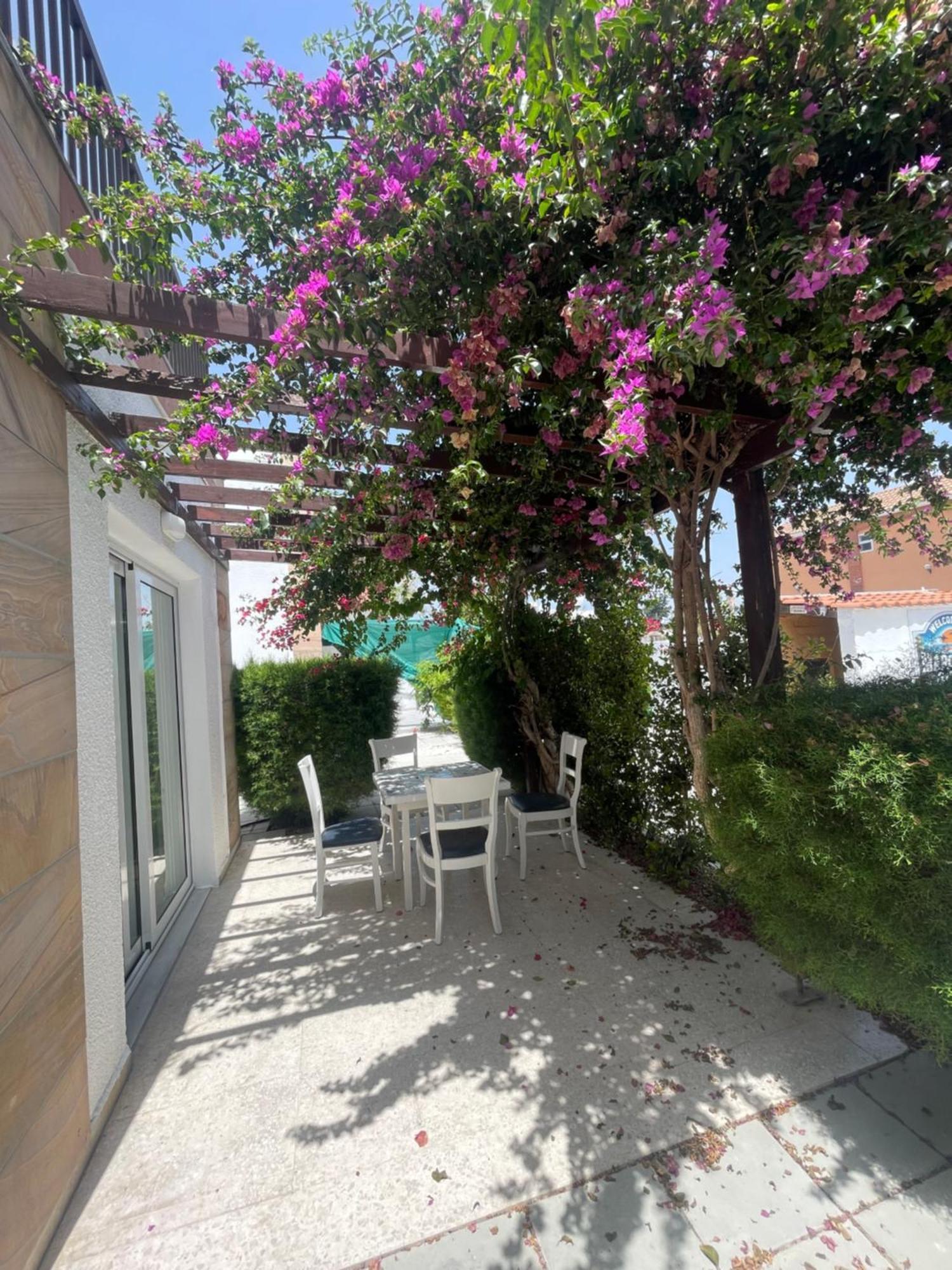 Margarita Gardens Block 6 Apartment *