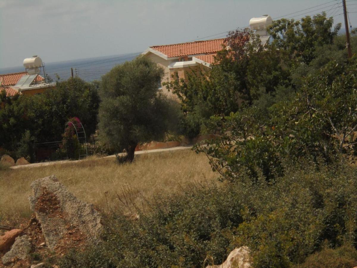Queen Eyridiki Luxury 1 Villa