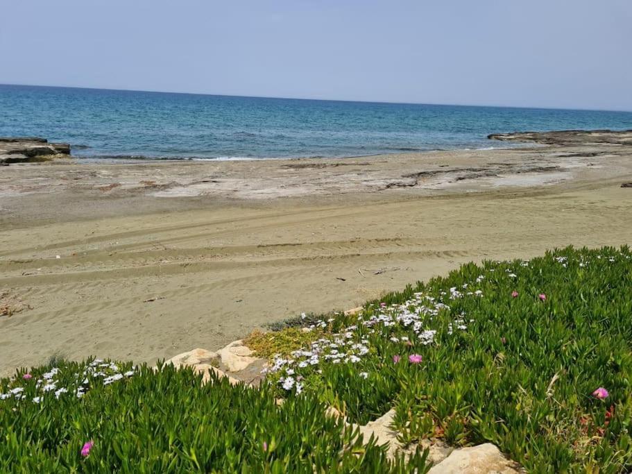 Villa Luksuzna Vila Ob Plazi Z Bazenom Paphos