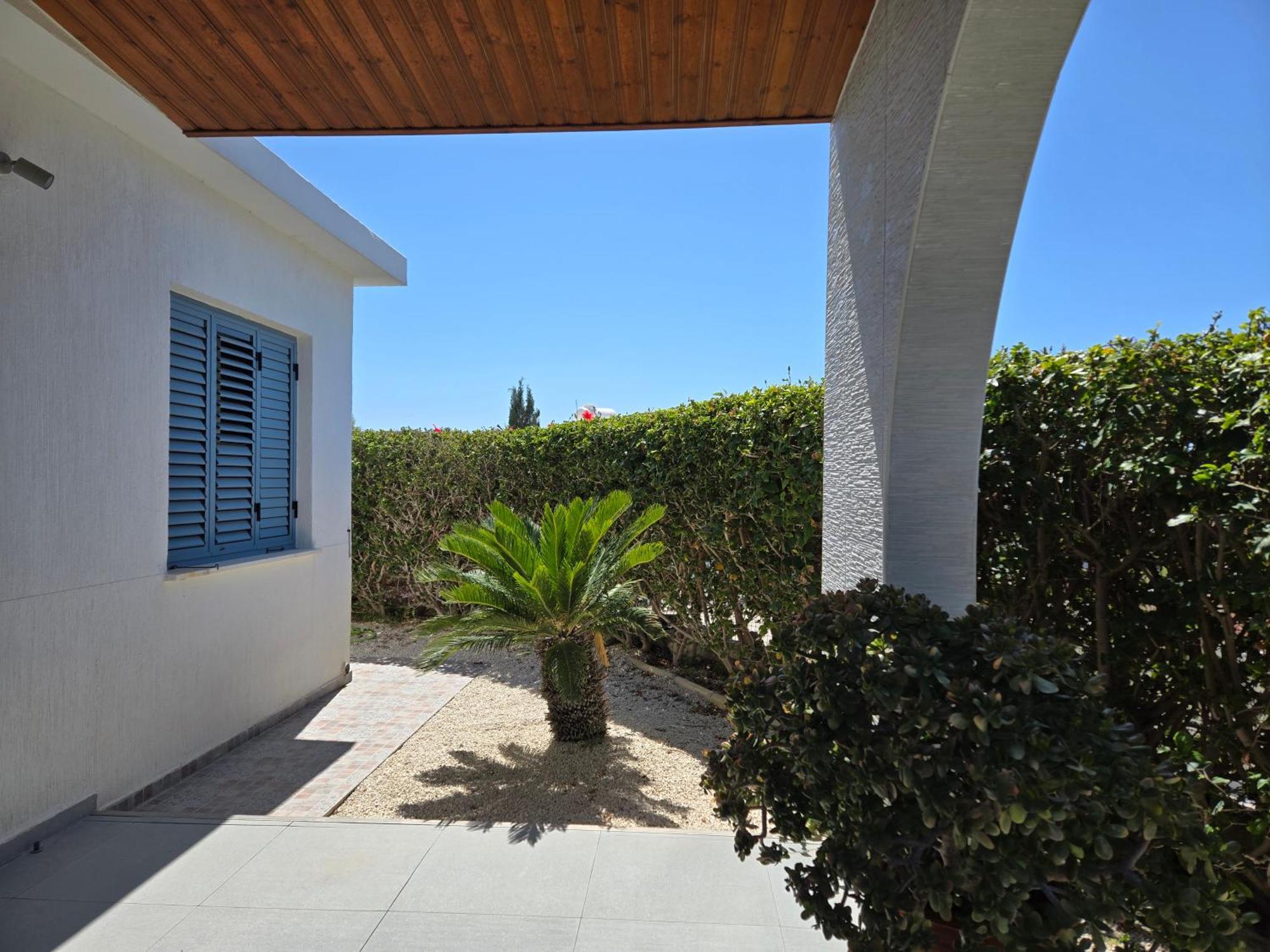 Urban Oasis Next To The Paphos