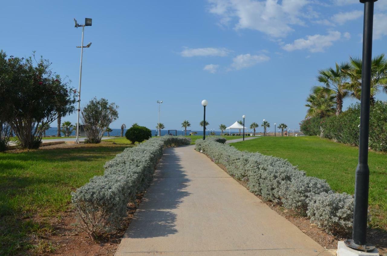 Sirena Kings Paphos