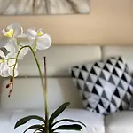 Royal Seacrest Modern Ground Floor Apartment C G 5