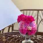Aphrodite\'S Apartment