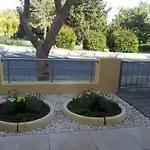 Dalia 13