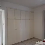 Paradise Gardens - Superb Large 3 Bed 2 Bath Apt