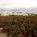 Blue Seaview Appartments