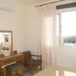 Pafia 2 - 306