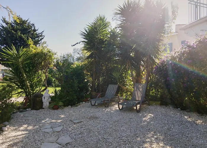 Paradise Gardens