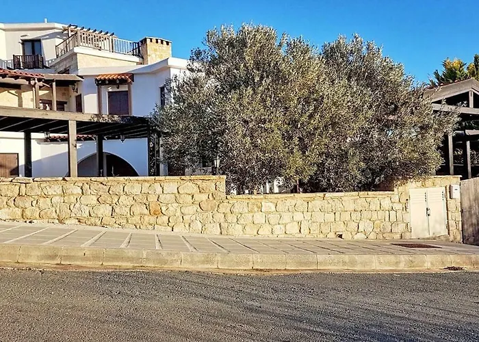 Magnificent Villa In Akamas Peninsula