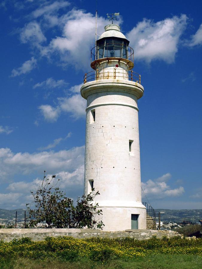 Dalia 5