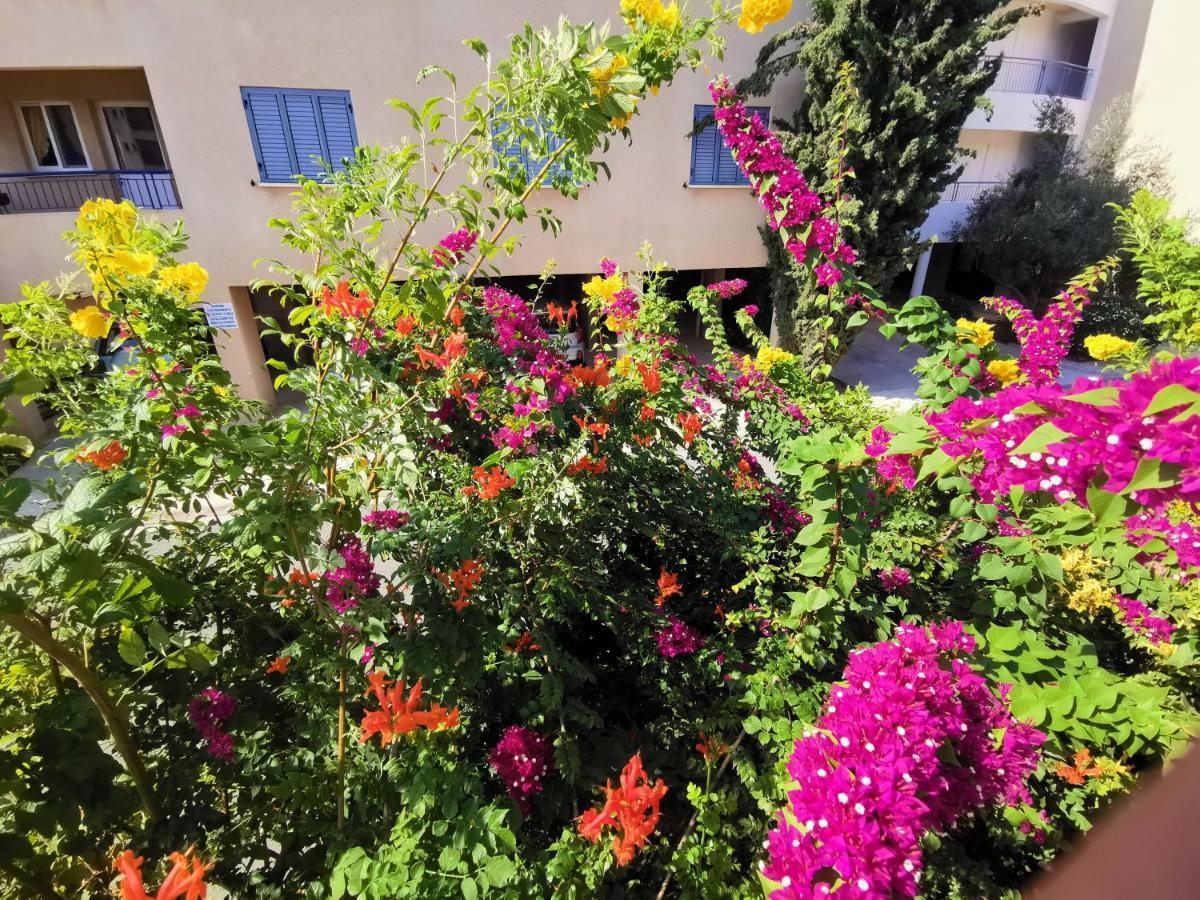 103 Regina Gardens Paphos