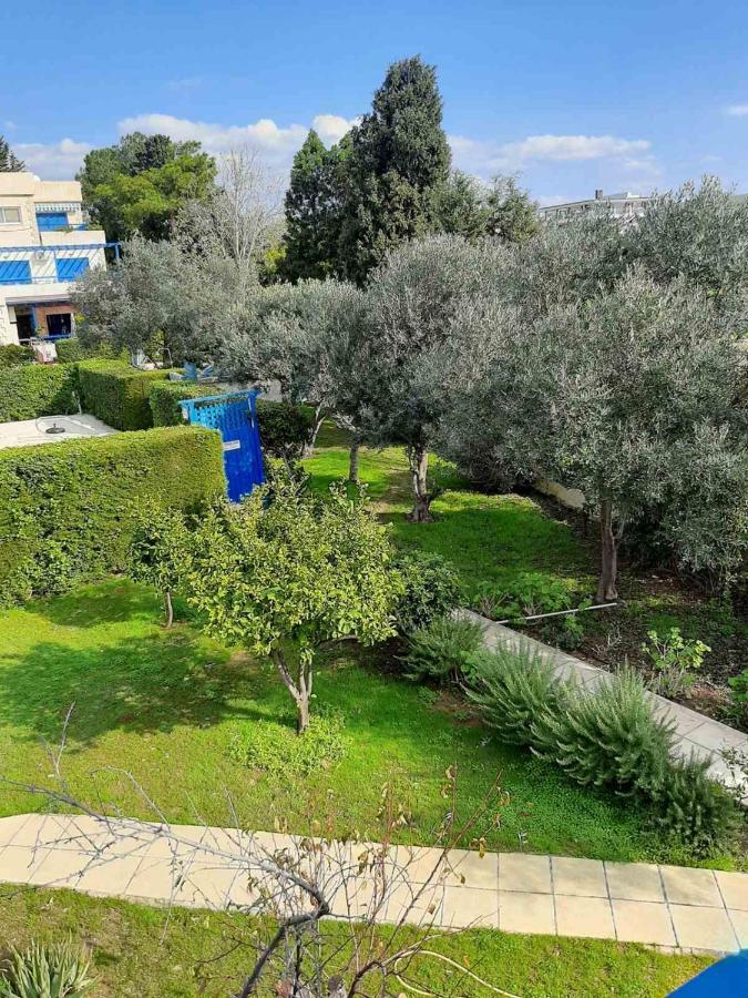 2 Bedroom Apartment-mediterranean Type Apartment Paphos