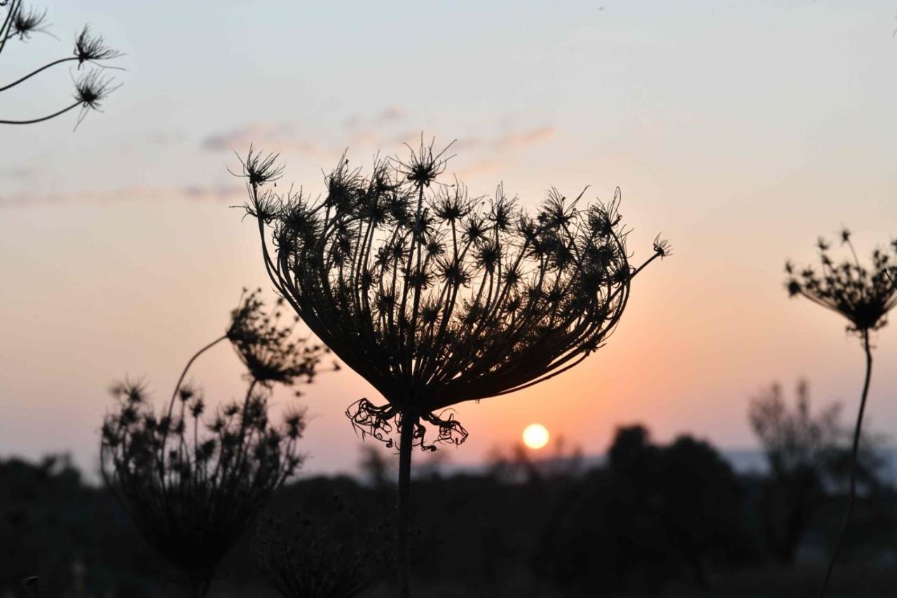 Lasa Black Rock * Paphos