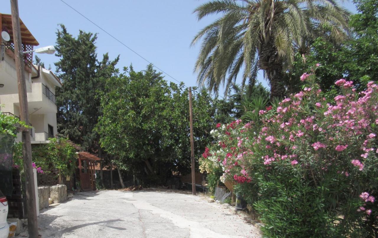 Simple Studio, Chloraka Paphos