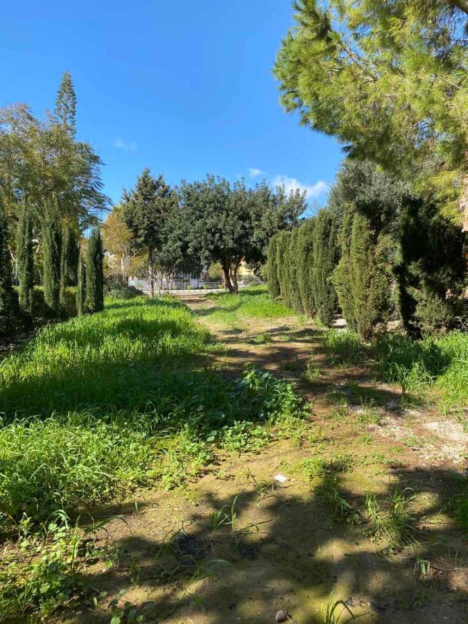 Apartment Limnaria Gardens K203 In