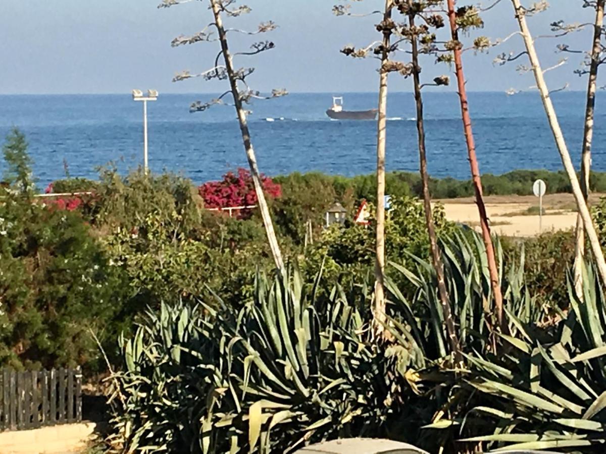 Diamond Complex * Paphos