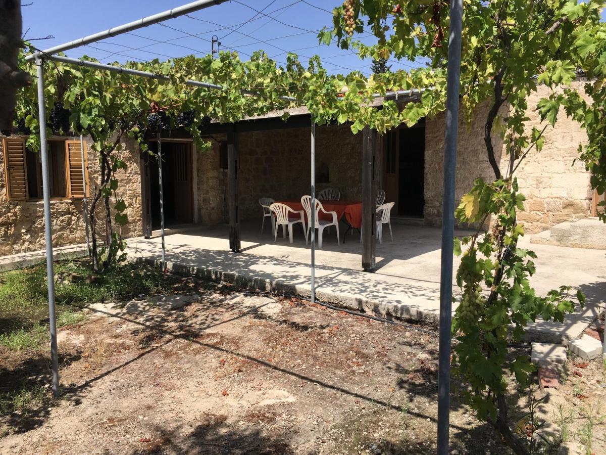 Friendly Villagehouse * Paphos