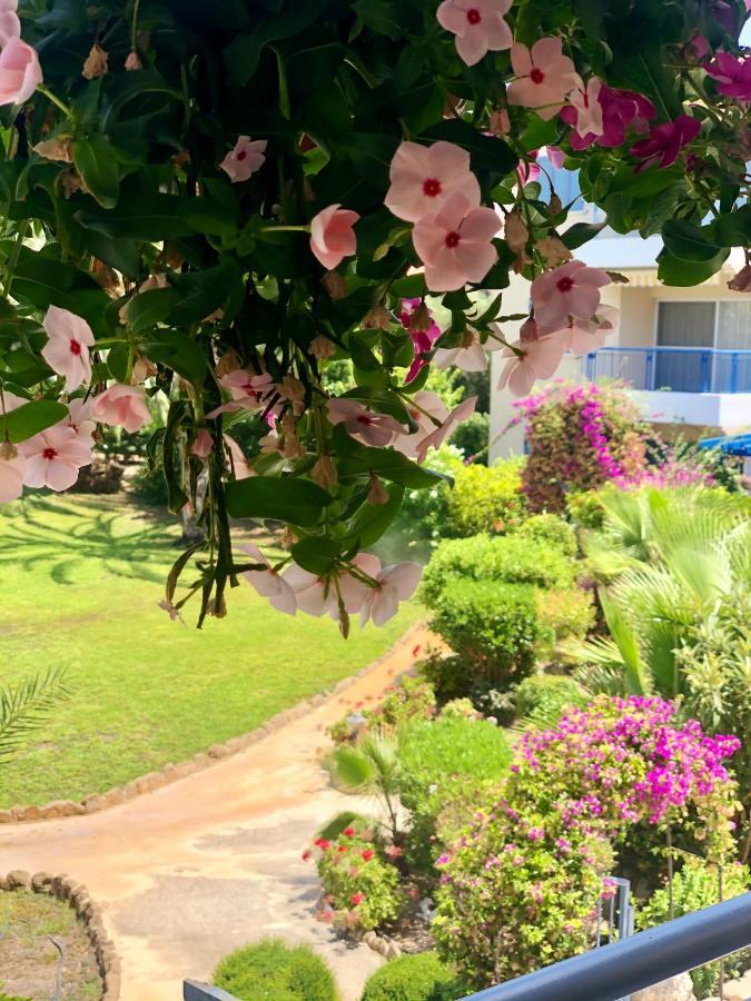 Paradise Gardens With A Large Terrace