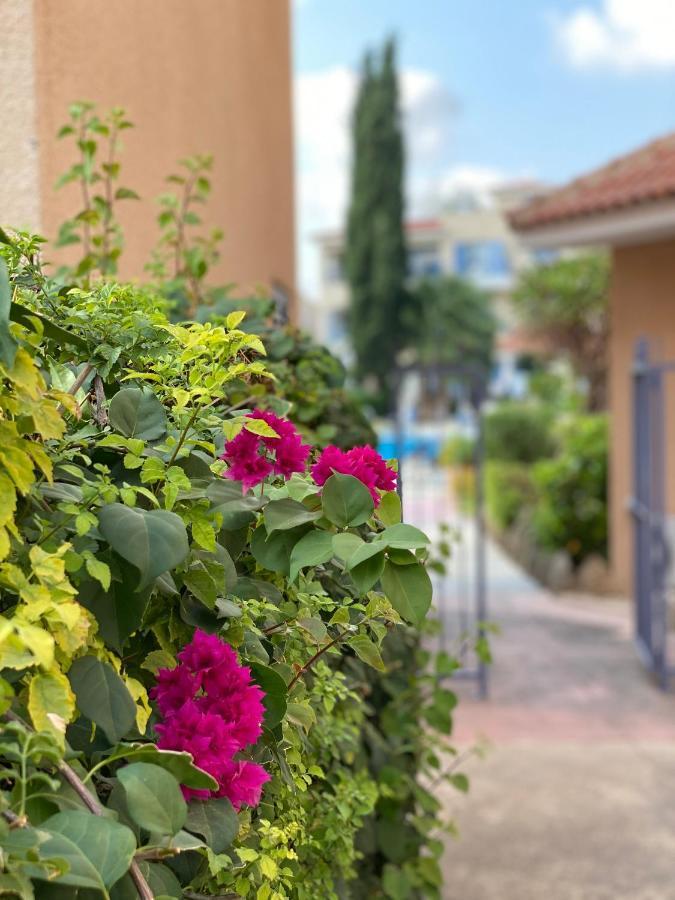 Paradise Gardens With A Large Terrace Paphos