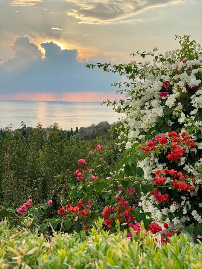 Paradise Gardens With A Large Terrace * Paphos