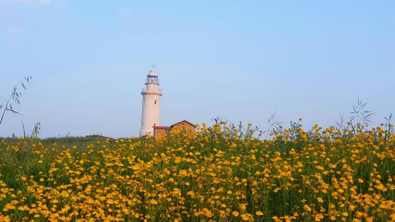 Dahan Sirena Lighthouse Luxury Apartment