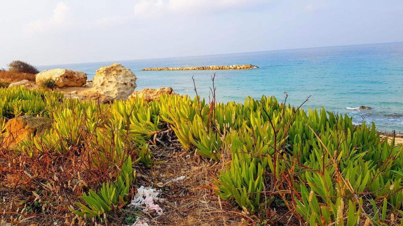 Dahan Sirena Lighthouse Luxury Apartment