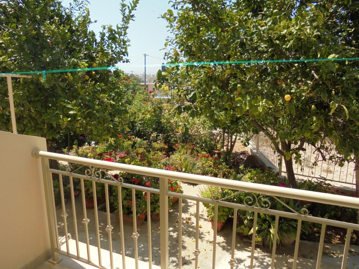 Apartment Niki Court