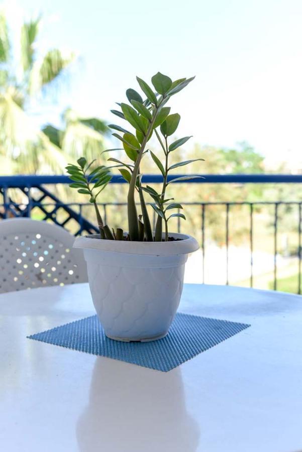 Apartment Paradise Gardens With A Large Terrace *