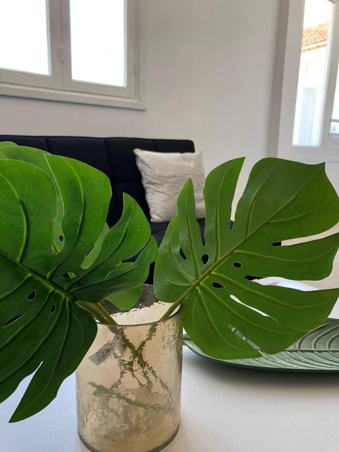 Katsikantaris Homes Apartment Paphos