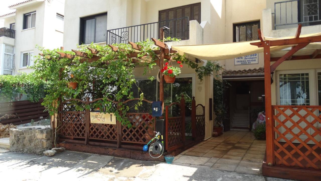 Apartment Heart For Art Studio *
