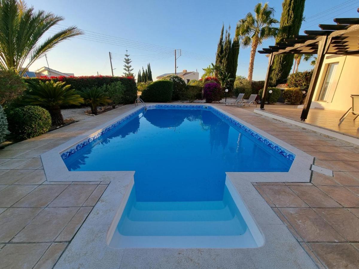 Phoenix In Secret Valley * Paphos