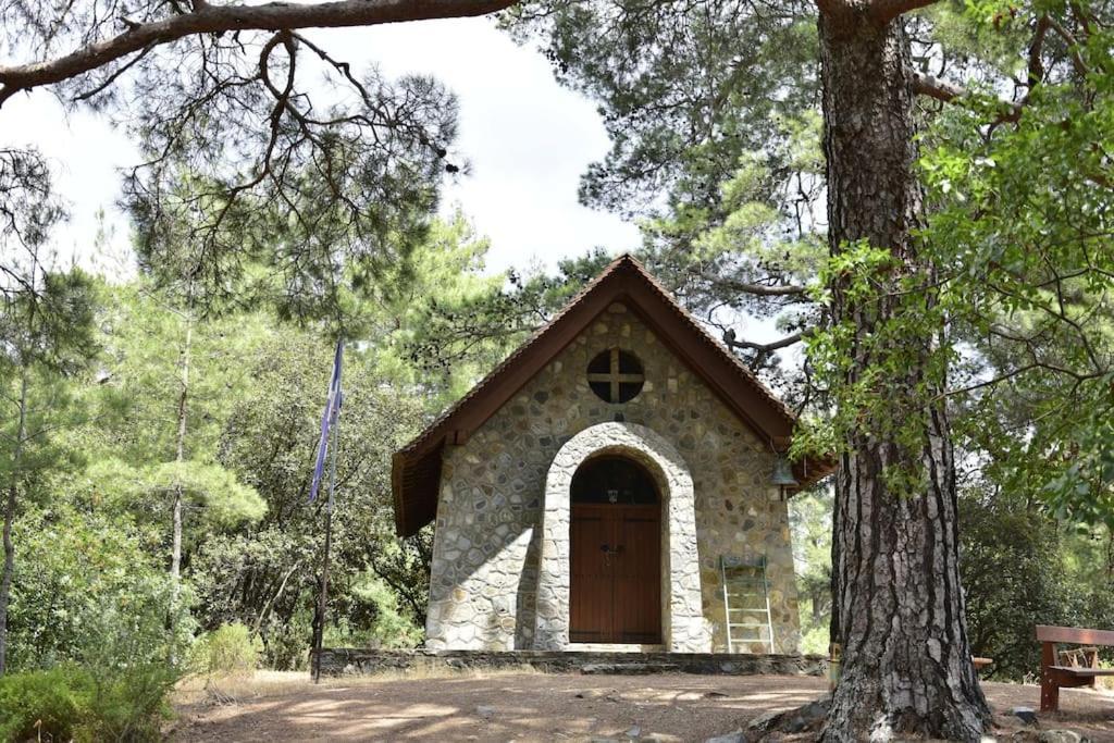 The Mountain House Paphos